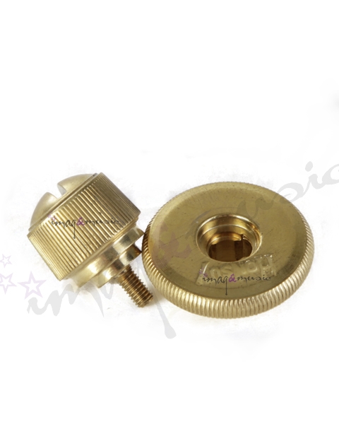 Moneda y Tornillo Honsuy Carmen