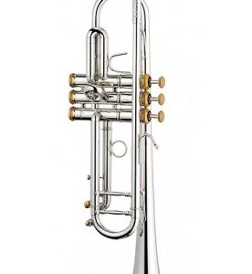 Trompeta Stomvi Elite 250-ML Sib Trompeta Stomvi Elite 250-ML Sib