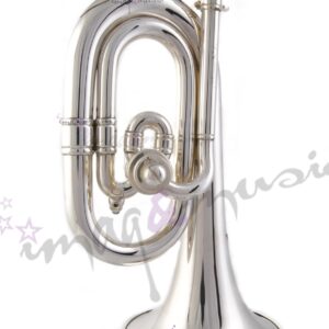 Honsuy Carmen Do / Reb Brillante Plata