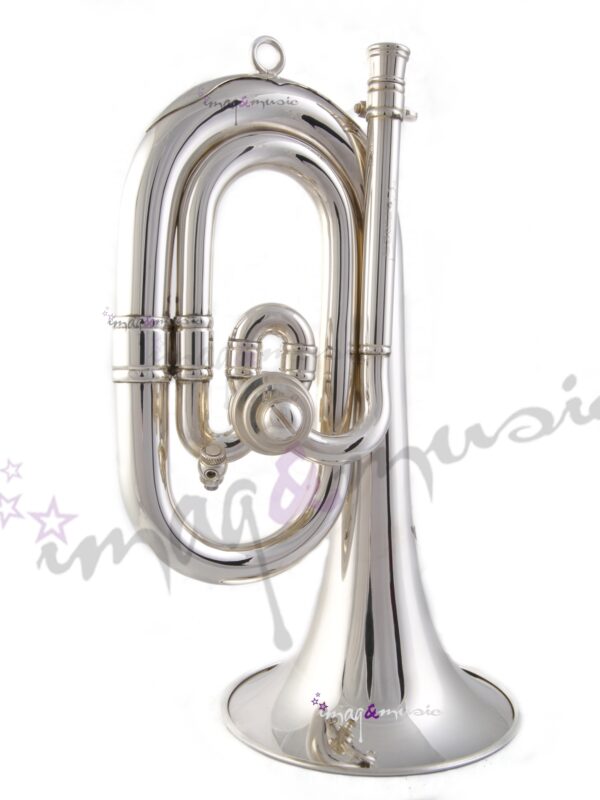 Honsuy Carmen Do / Reb Brillante Plata