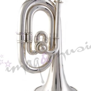 Honsuy Do / Reb Brillante Plata Honsuy Do / Reb Brillante Plata